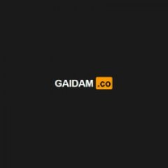 gaidamco1