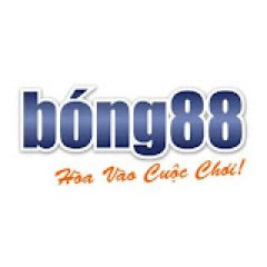 nhacaibong88