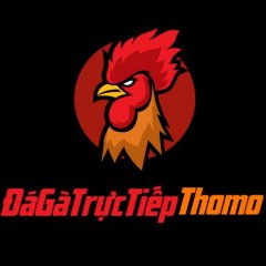 dagatructiepthomotoday