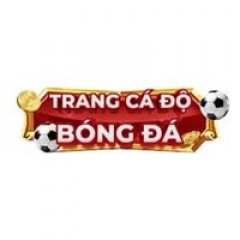 trangcadobongdacocom